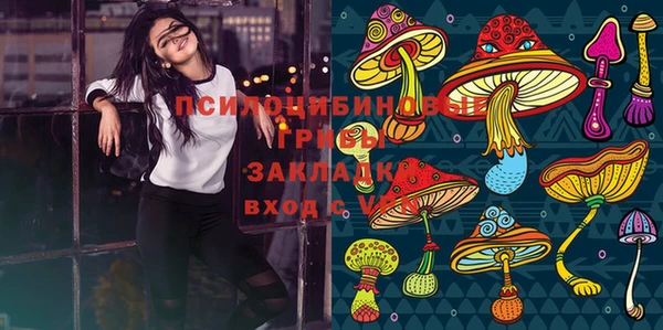 spice Алзамай